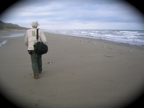 Marty Cawthon walking on the beach in Miyazaki, Japan  2008-01-12 15:42